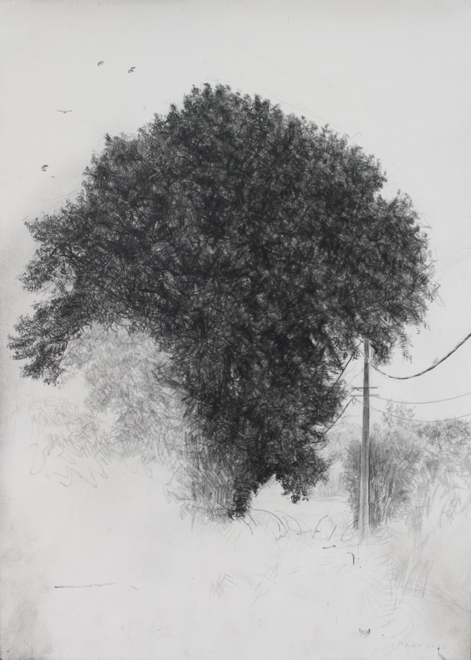 L'arbre de vie 1 -pierre noire sur papier-2025-42x30cm L'arbre de vie 1 -pierre noire sur papier-2025-42x30cm